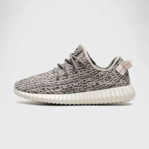 'V1 Turtle Dove'
