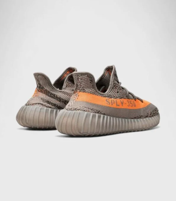'V2 Belunga Reflective'