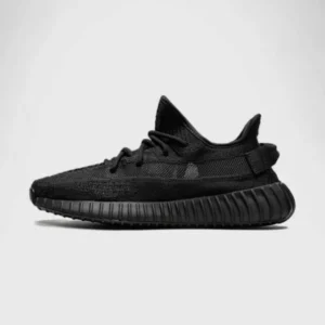 'V2 Onyx'